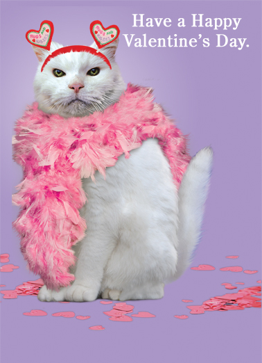 Funny Valentine s Day Card Valentine Cat From CardFool funny-valentine-s-day-card-valentine-cat-from-cardfool